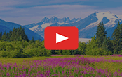 Discover the beauty of Alaska with us