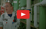 Holland America Sustainability | Water Treatment